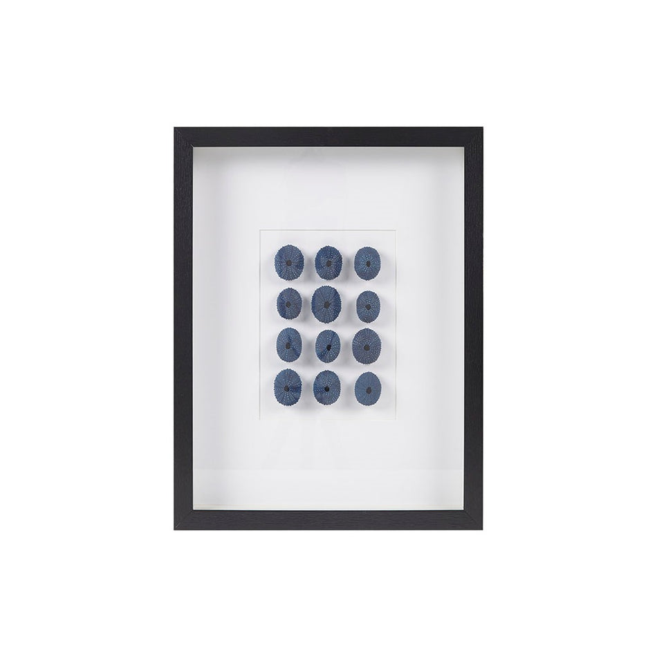 Indigo Shells Real Natural Sea Urchin Framed Shadowbox - Blue