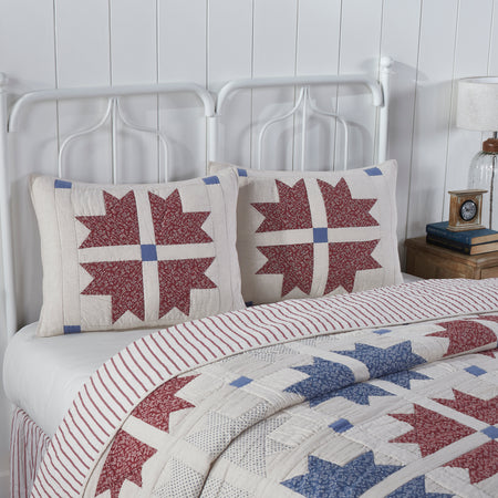 April & Olive Celebration Standard Sham 21x27 By VHC Brands